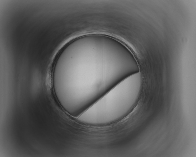 X0000102381510200808010904