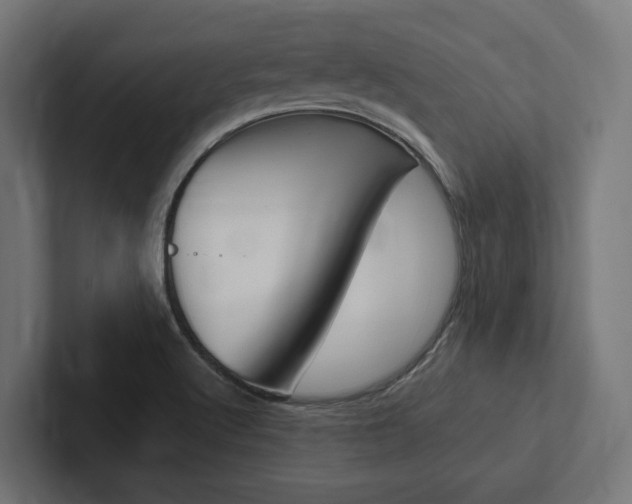 X0000102381512200808010904
