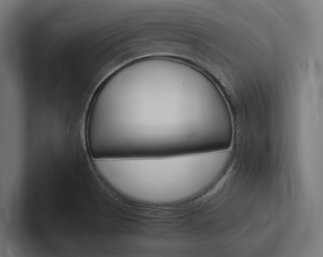 X0000102381513200808010904