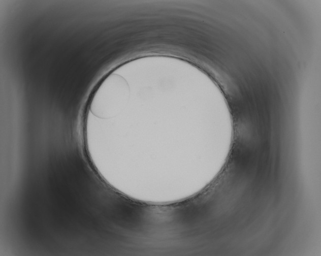 X0000102381514200808010904