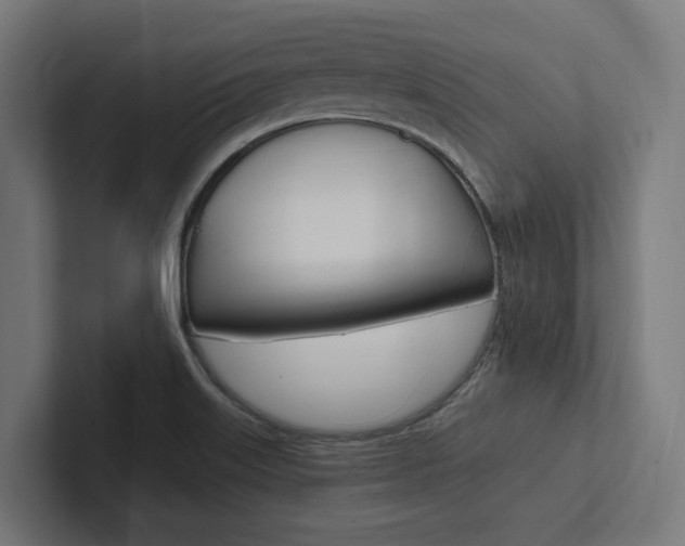 X0000102381515200808010904