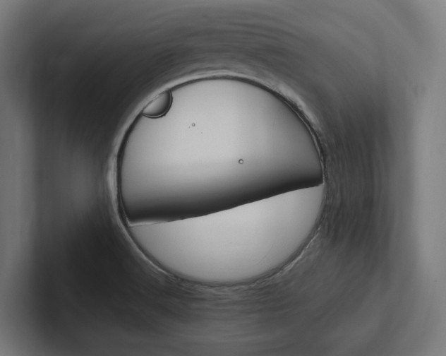 X0000102381516200808010904