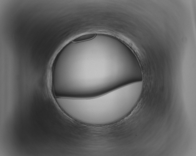 X0000102381520200808010904