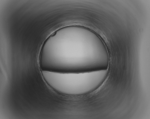 X0000102381521200808010904