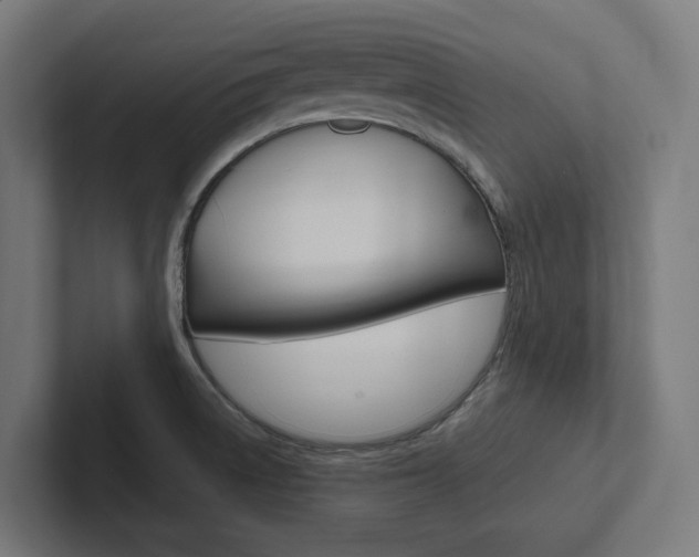 X0000102381522200808010904