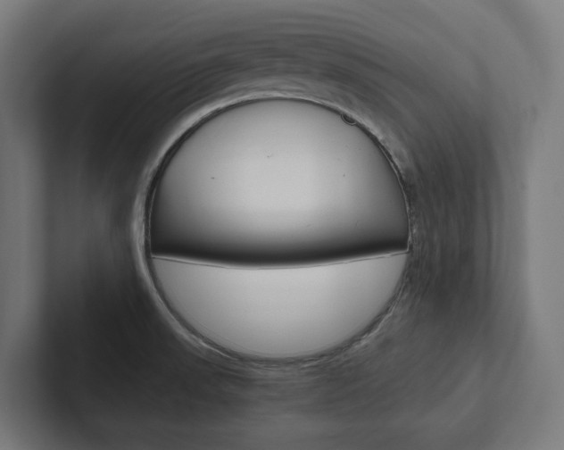 X0000102381523200808010904