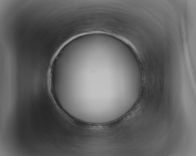 X0000102381524200808010904