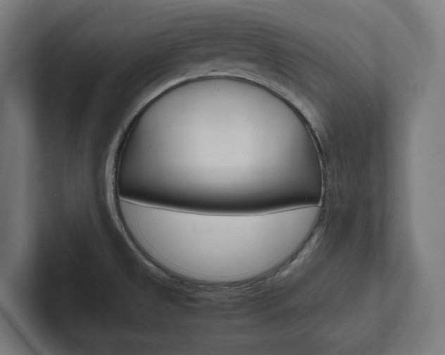 X0000102381525200808010904