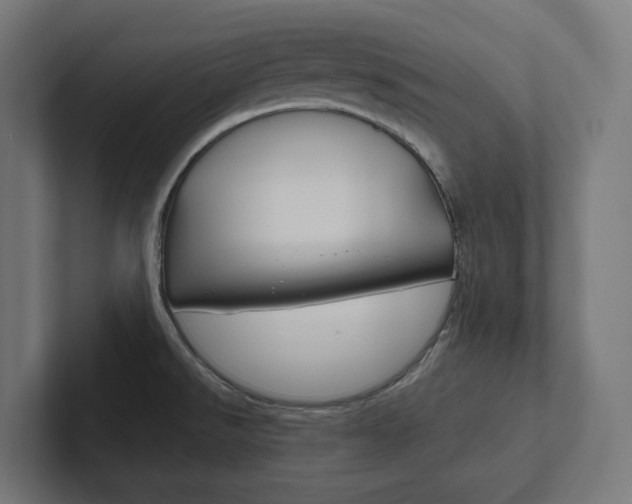 X0000102381526200808010904