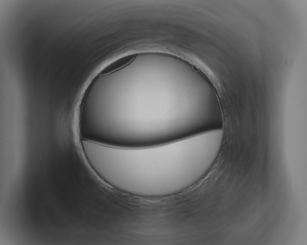 X0000102381528200808010904