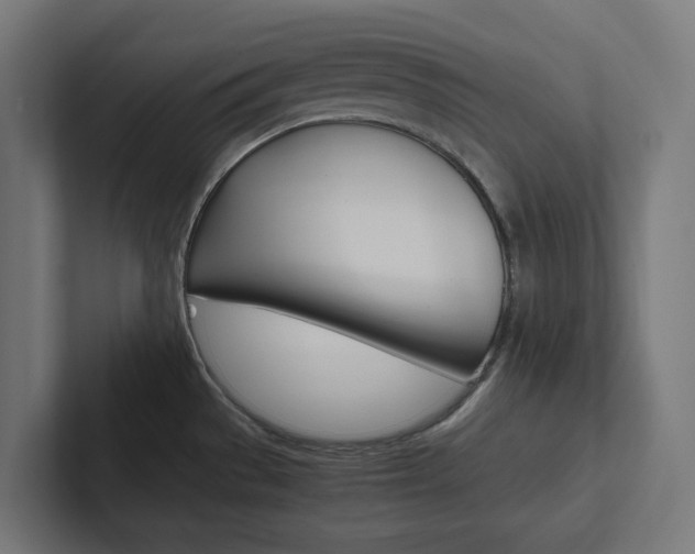 X0000102381529200808010904