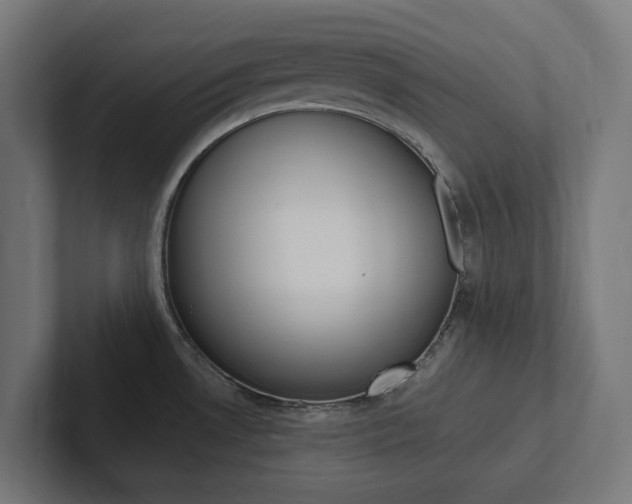 X0000102381530200808010904