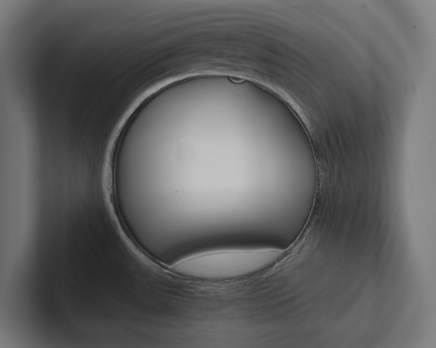 X0000102381531200808010904