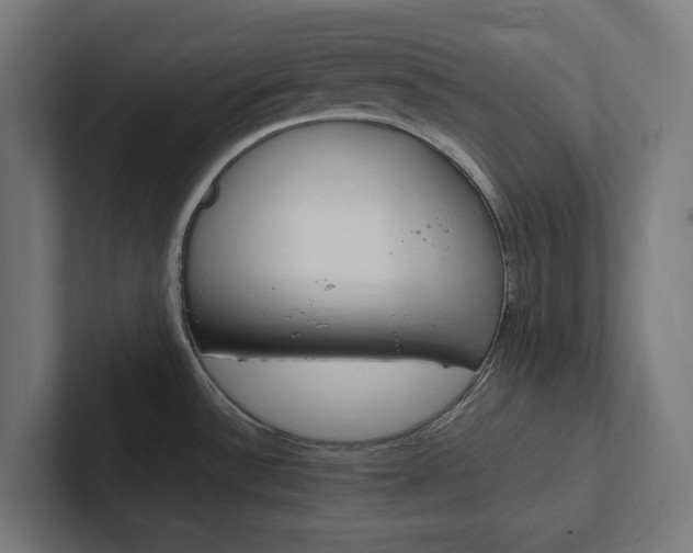 X0000102381532200808010904
