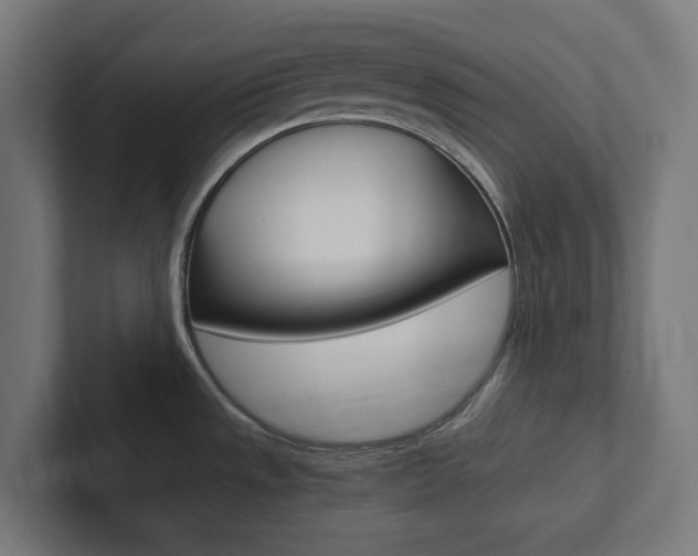 X0000102381533200808010904