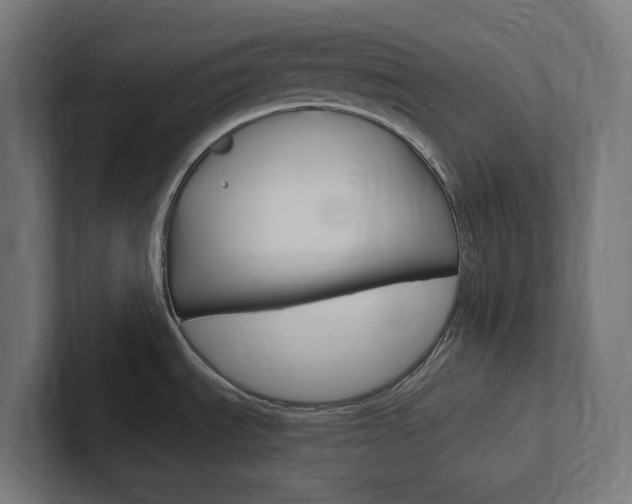 X0000102381535200808010904