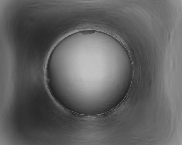 X0000102381536200808010904