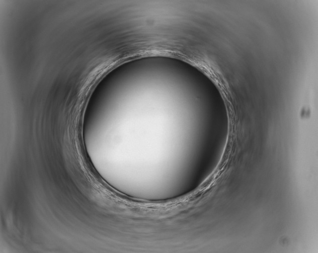 X0000102380001200808011547
