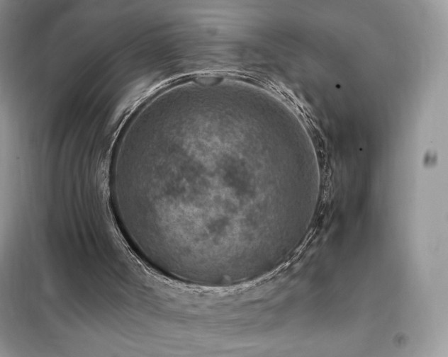 X0000102380002200808011547