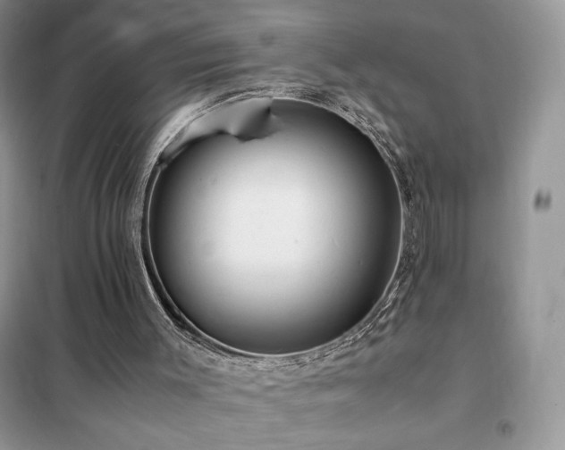 X0000102380003200808011547
