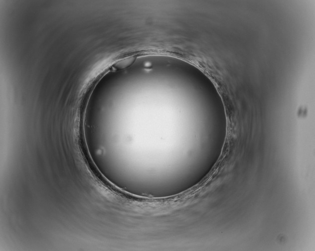 X0000102380005200808011547