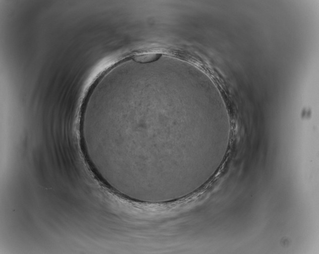 X0000102380006200808011547