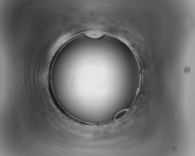 X0000102380007200808011547