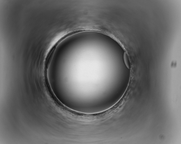 X0000102380008200808011547