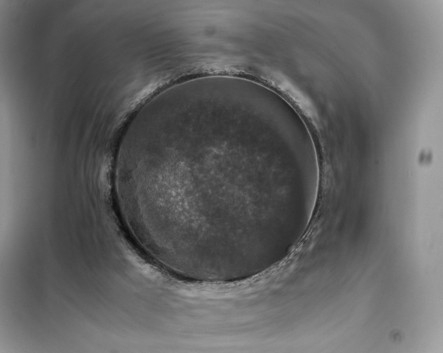 X0000102380009200808011547