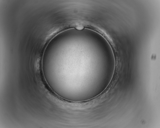 X0000102380010200808011547