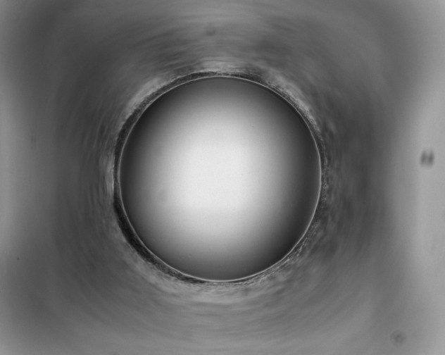 X0000102380011200808011547
