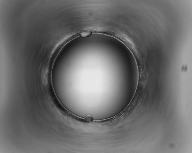 X0000102380012200808011547