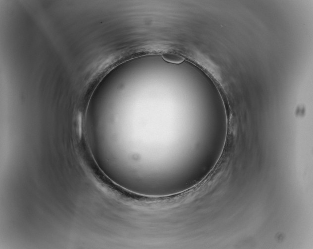 X0000102380013200808011547