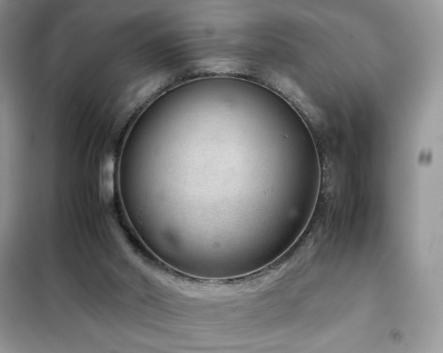 X0000102380014200808011547