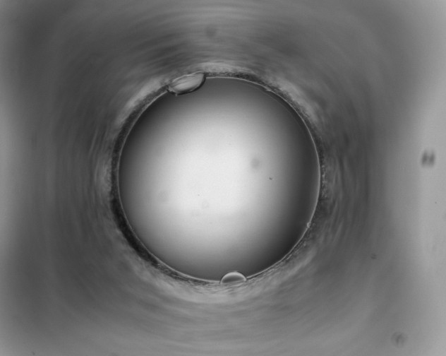 X0000102380015200808011547