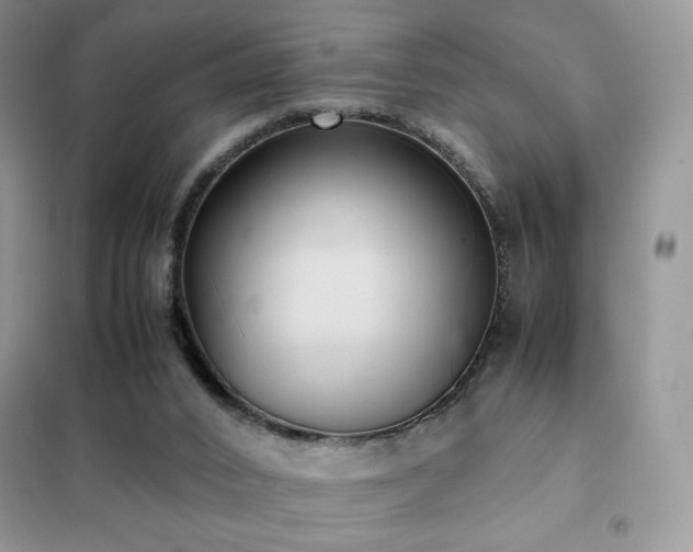 X0000102380016200808011547