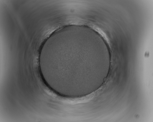X0000102380017200808011547