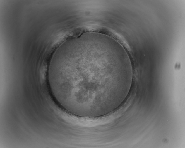 X0000102380018200808011547