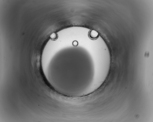 X0000102380019200808011547