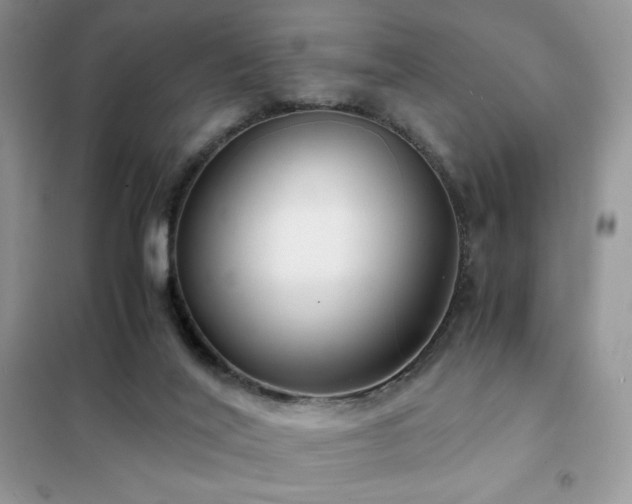 X0000102380020200808011547