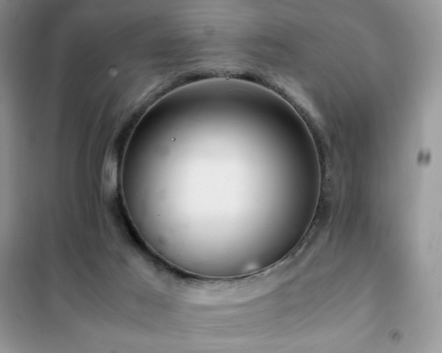 X0000102380021200808011547
