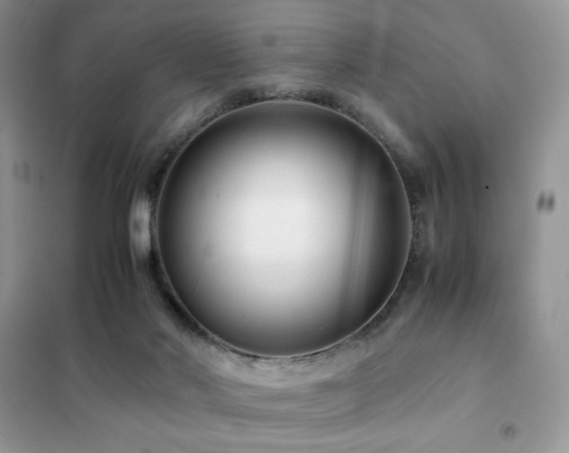 X0000102380022200808011547