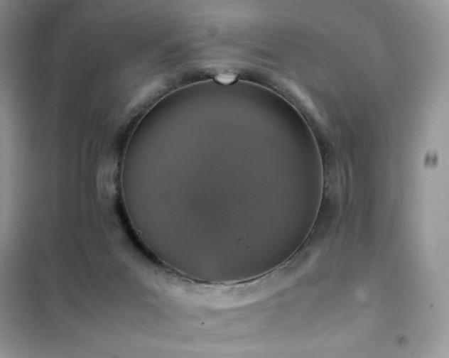 X0000102380023200808011547