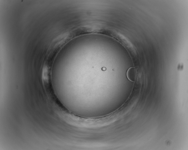 X0000102380026200808011547