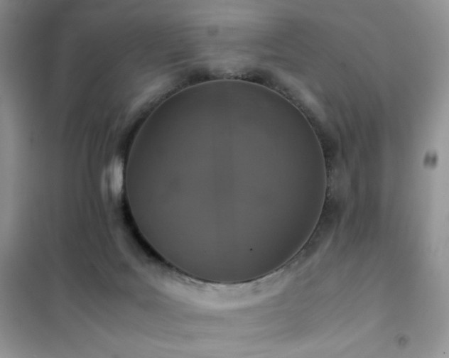 X0000102380027200808011547