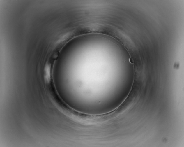 X0000102380028200808011547