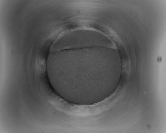 X0000102380029200808011547
