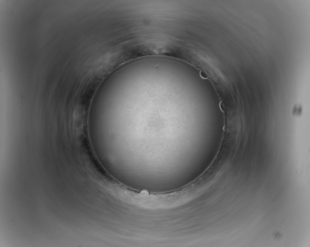 X0000102380030200808011547