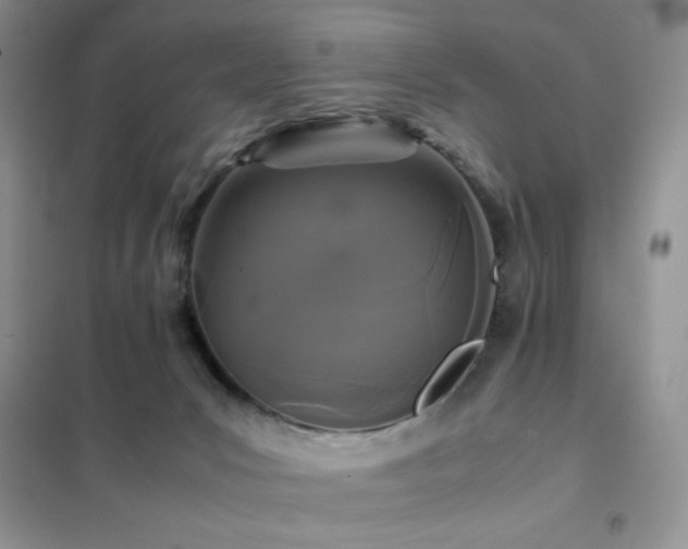 X0000102380031200808011547