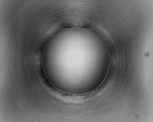 X0000102380032200808011547